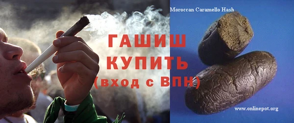 шишки Няндома