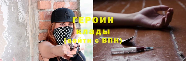 шишки Няндома