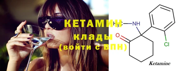 шишки Няндома