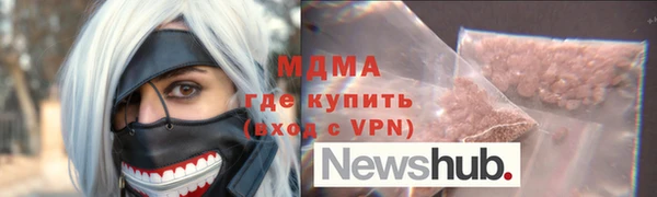 шишки Няндома