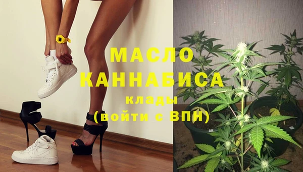 шишки Няндома