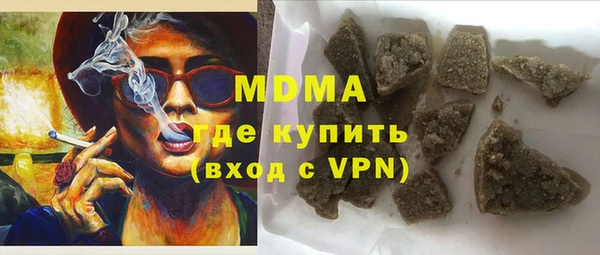 шишки Няндома