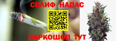 гидропоника Апрелевка
