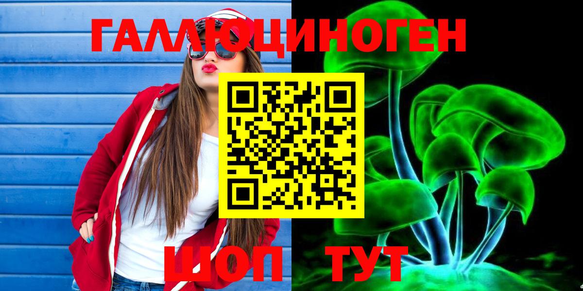 Галлюциногенные грибы Psilocybine cubensis  Краснокаменск 